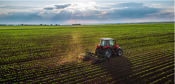 Tractor in a field